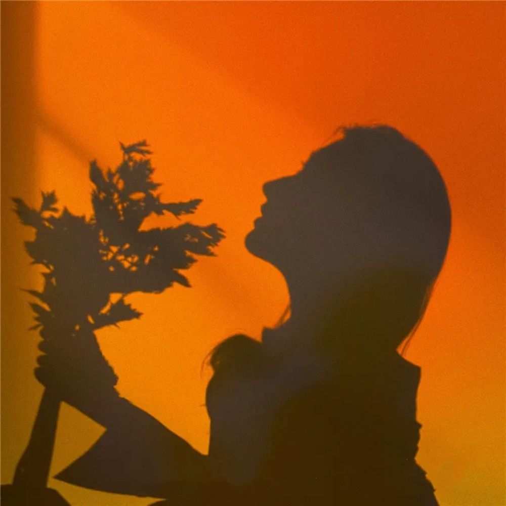 Mood Lighting RGB Sunset Lamp  - огляд і ціна Photography Lighting Mood